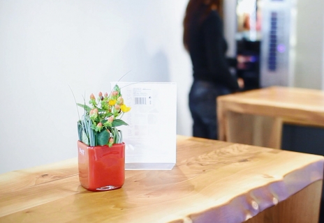 Alexander Buerkle, Freiburg