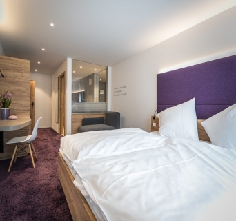 Gasthaus Hotel Roessle, Elzach